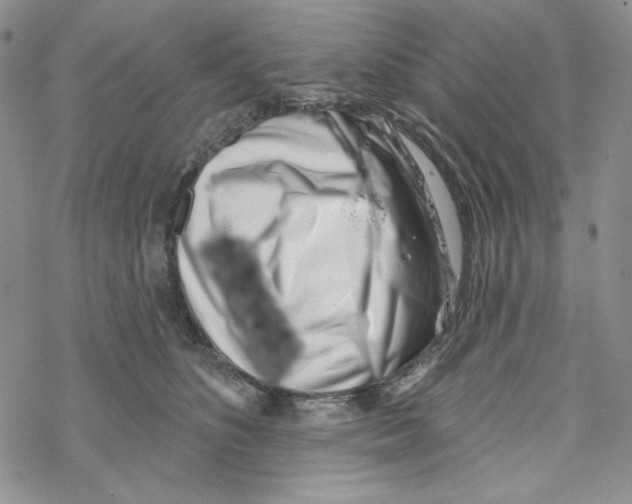 X0000069360516200606091604