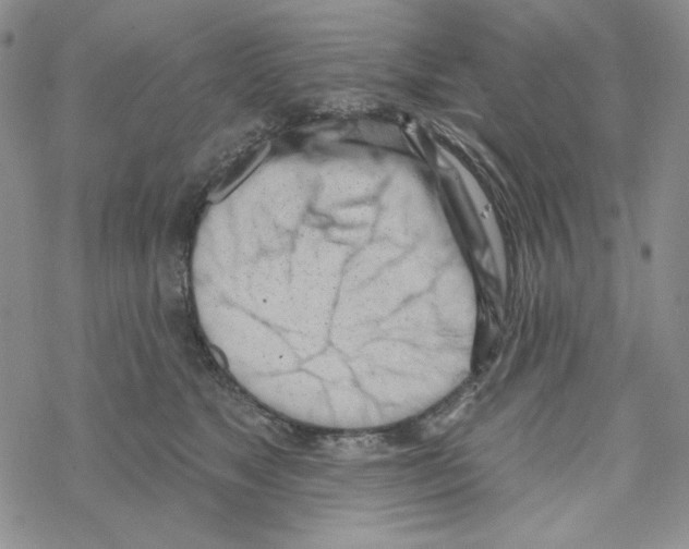 X0000069360517200606091604