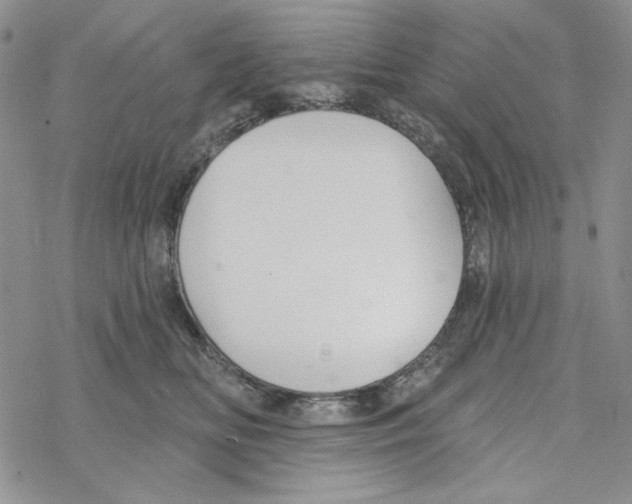 X0000069360518200606091604