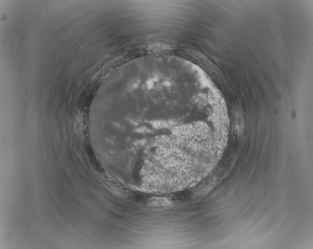 X0000069360519200606091604