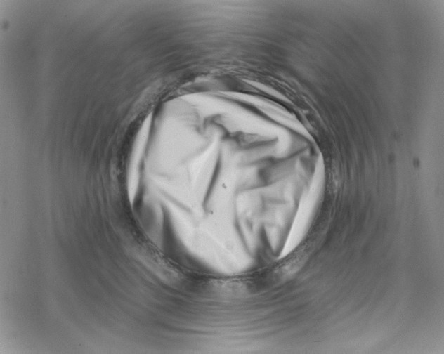 X0000069360520200606091604