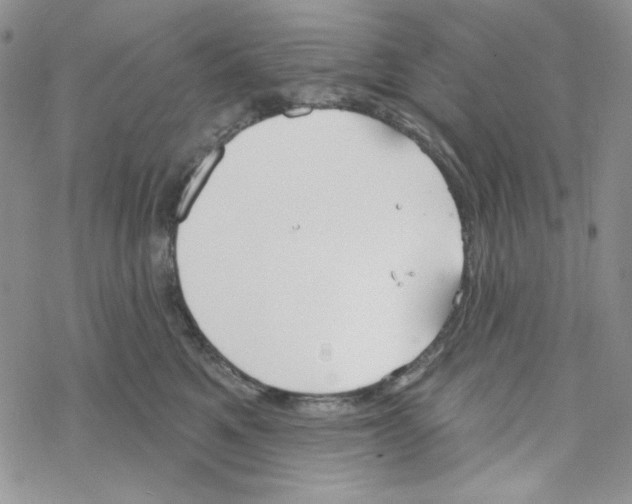 X0000069360521200606091604