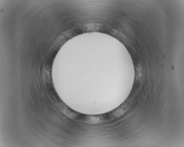 X0000069360522200606091604