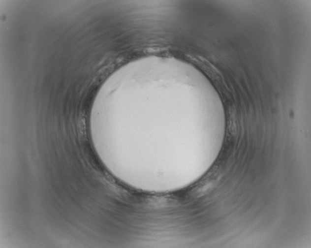 X0000069360523200606091604