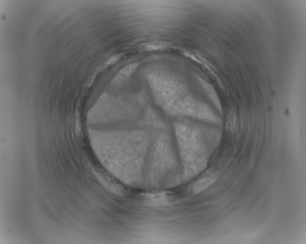 X0000069360524200606091604