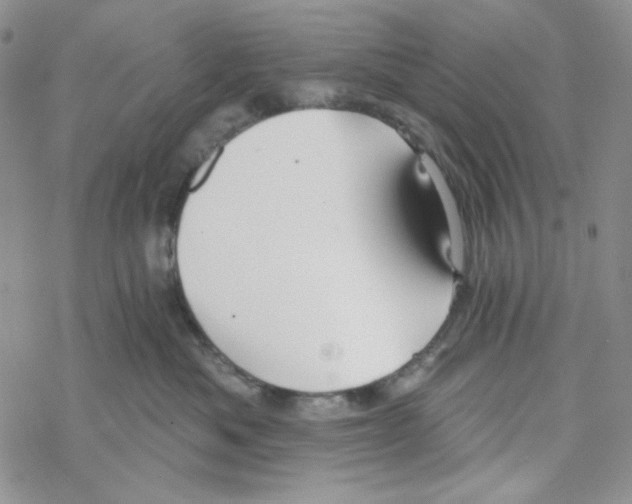 X0000069360525200606091604