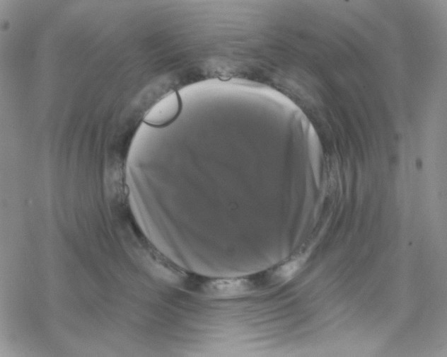 X0000069360526200606091604