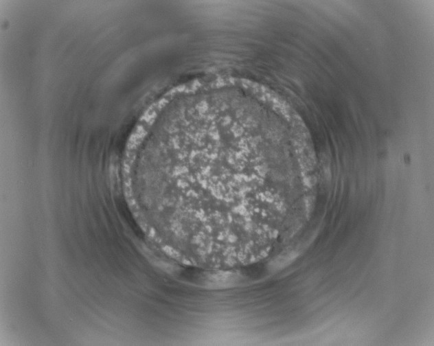 X0000069360527200606091604