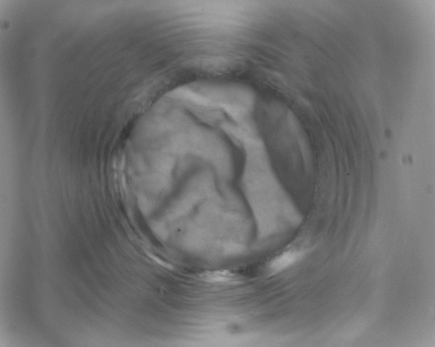 X0000069360528200606091604