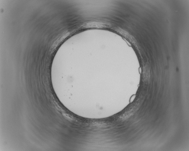 X0000069360529200606091603