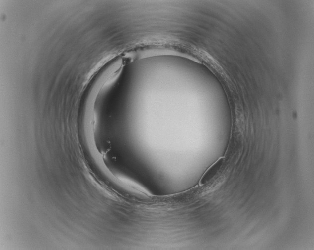 X0000069360530200606091603