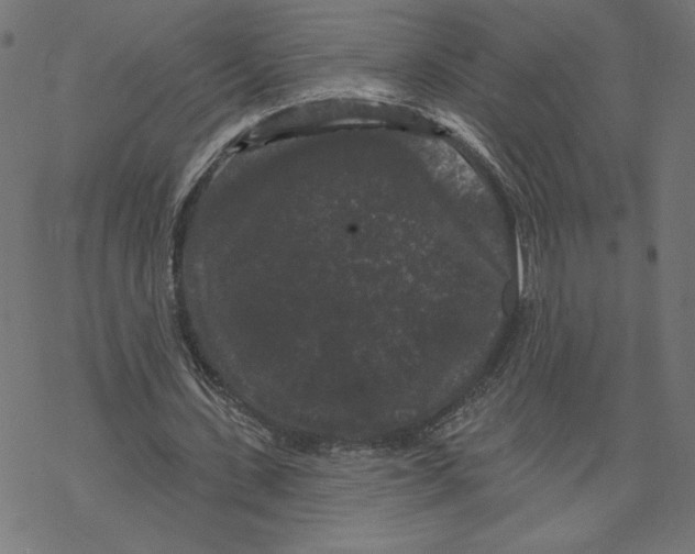 X0000069360531200606091603