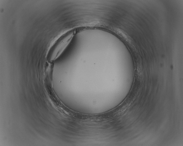 X0000069360532200606091603