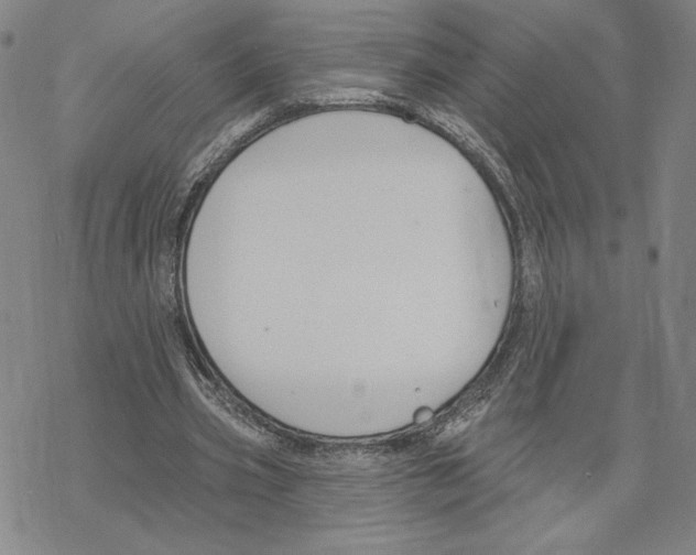 X0000069360533200606091603