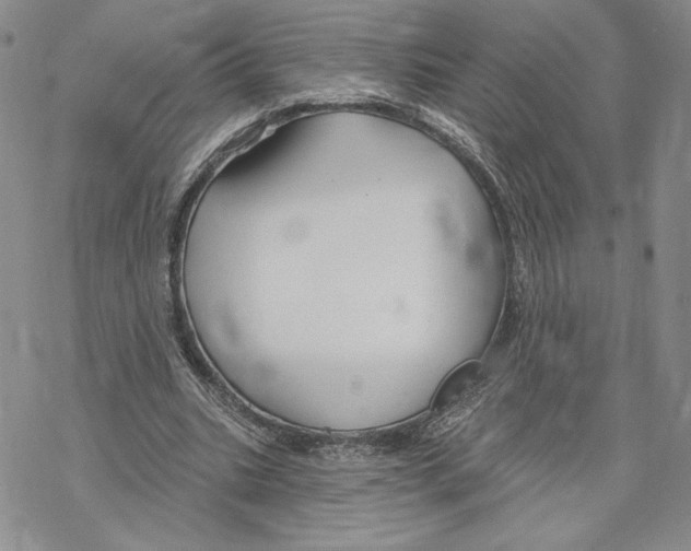 X0000069360535200606091603