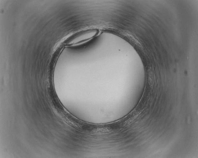 X0000069360536200606091603