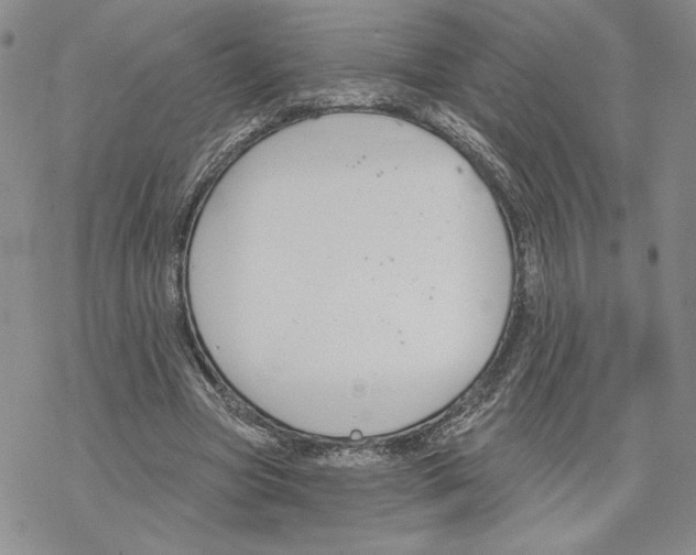 X0000069360537200606091603