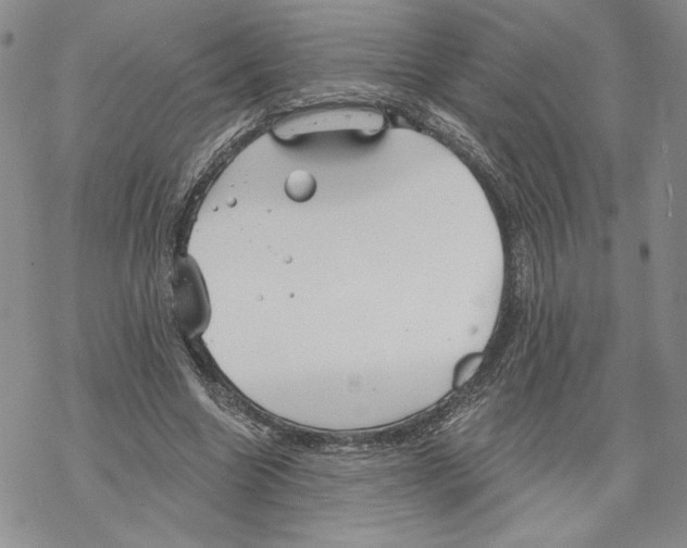 X0000069360538200606091603