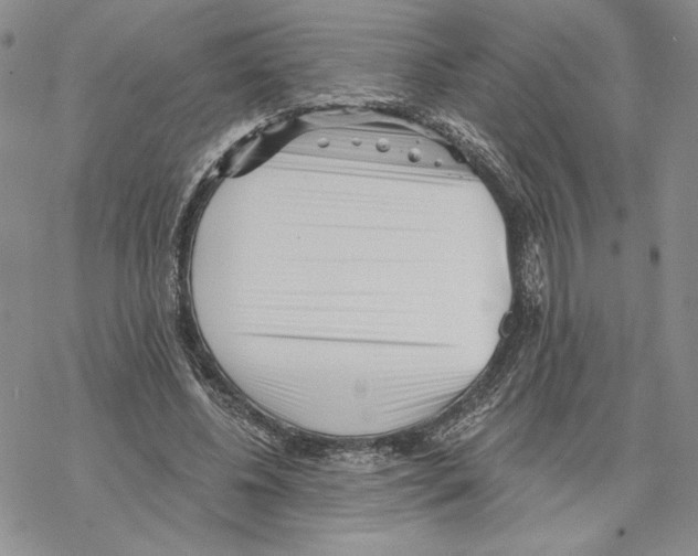 X0000069360540200606091603