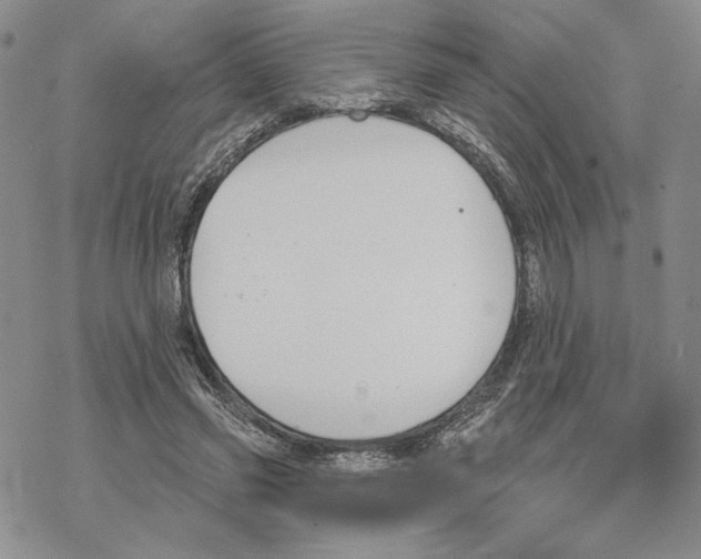 X0000069360541200606091603