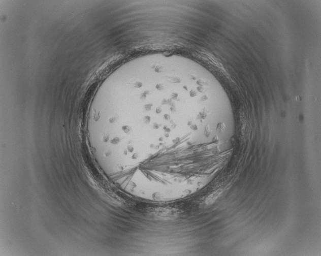 X0000069360542200606091603