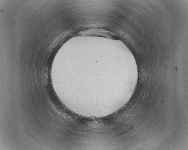 X0000069360544200606091603