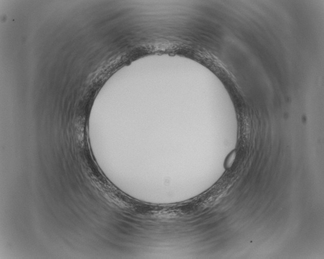 X0000069360545200606091603