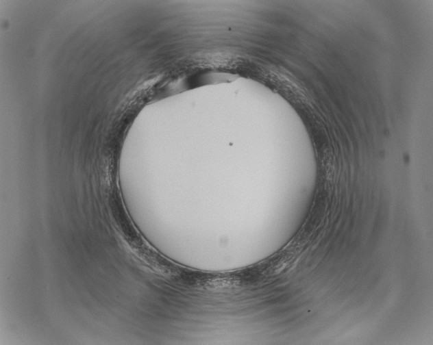 X0000069360546200606091603