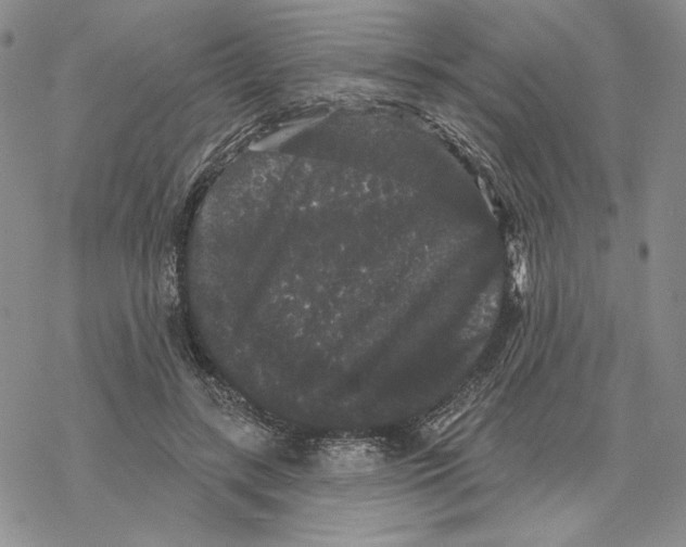 X0000069360547200606091603