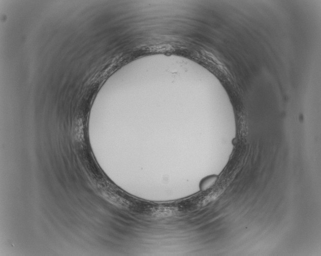 X0000069360549200606091603