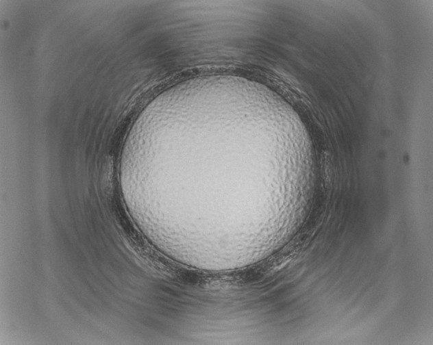 X0000069360550200606091603