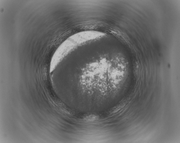 X0000069360551200606091603