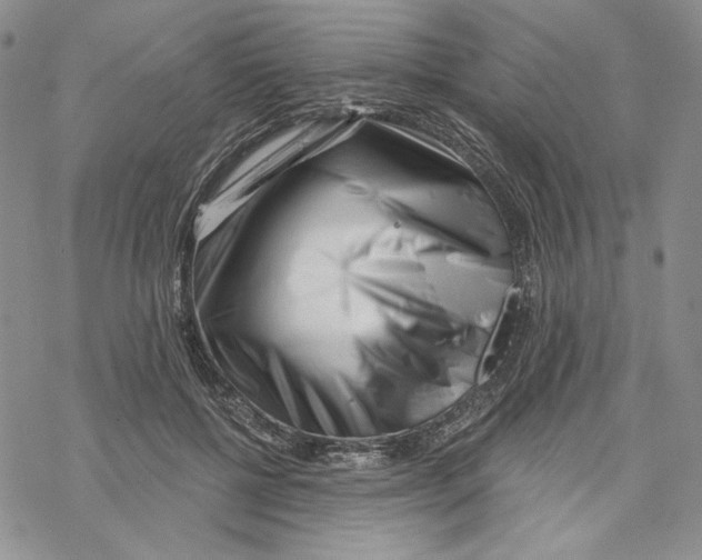 X0000069360552200606091603