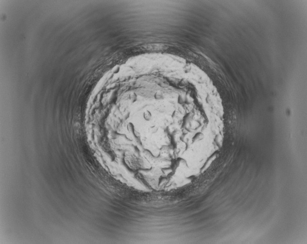 X0000069360553200606091603