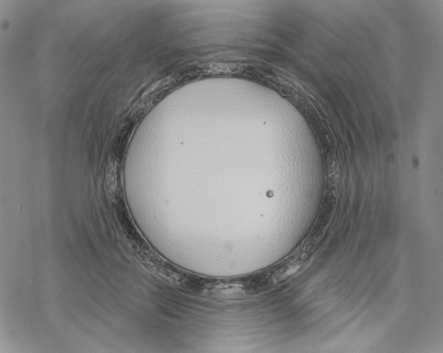 X0000069360554200606091604