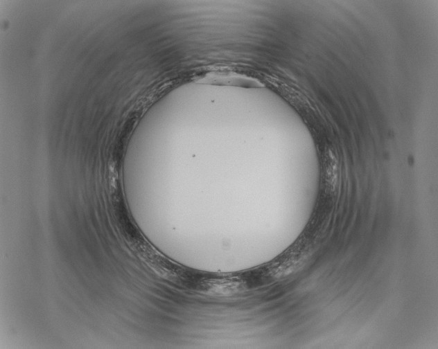 X0000069360555200606091604