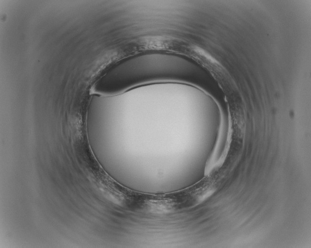 X0000069360556200606091604