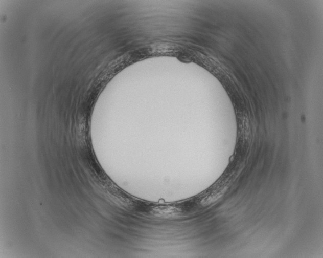 X0000069360557200606091604