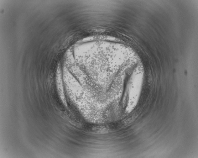 X0000069360559200606091604