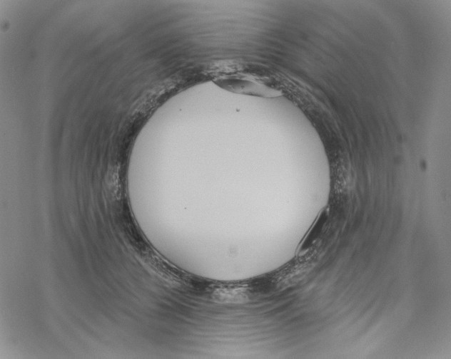 X0000069360560200606091604