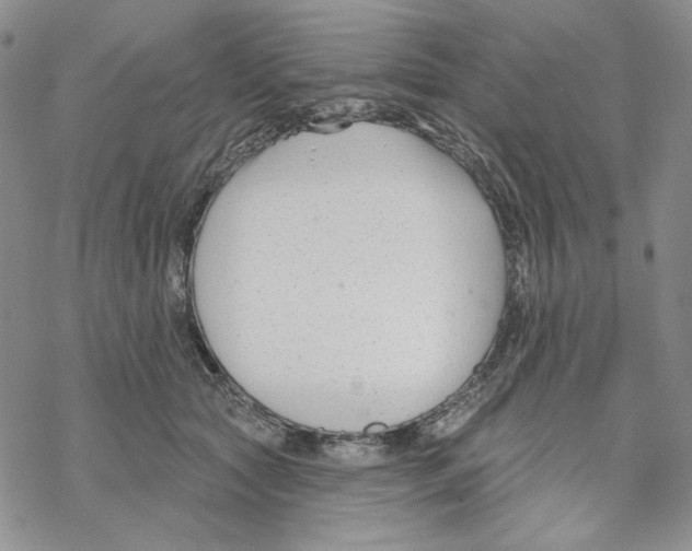 X0000069360561200606091604