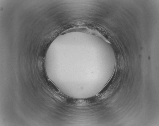 X0000069360562200606091604