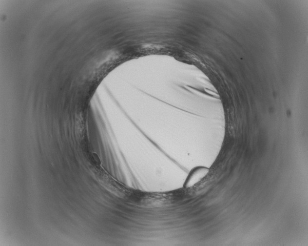 X0000069360563200606091604