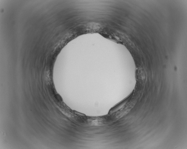 X0000069360564200606091604