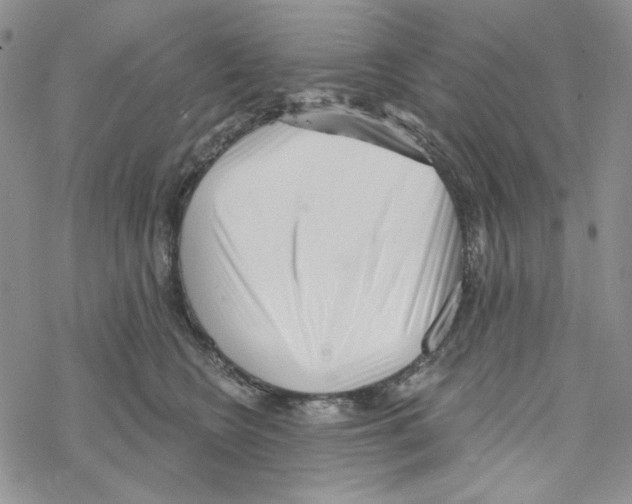 X0000069360566200606091604