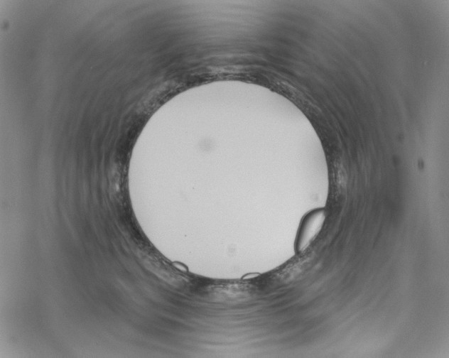 X0000069360567200606091604