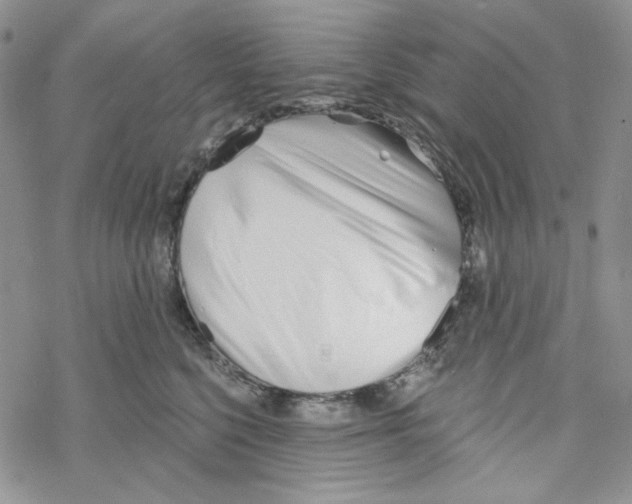 X0000069360568200606091604