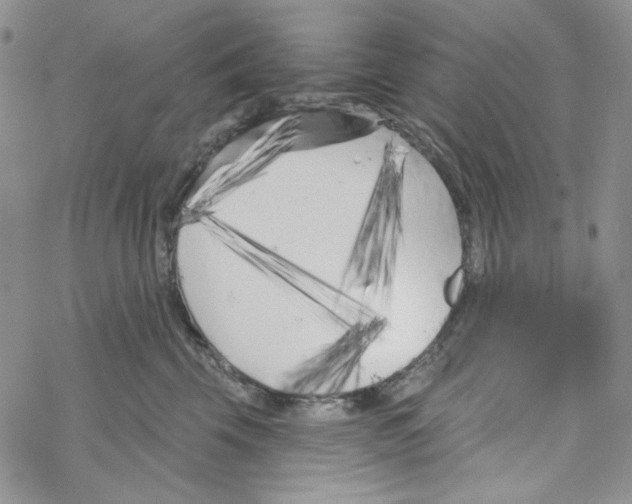 X0000069360569200606091604