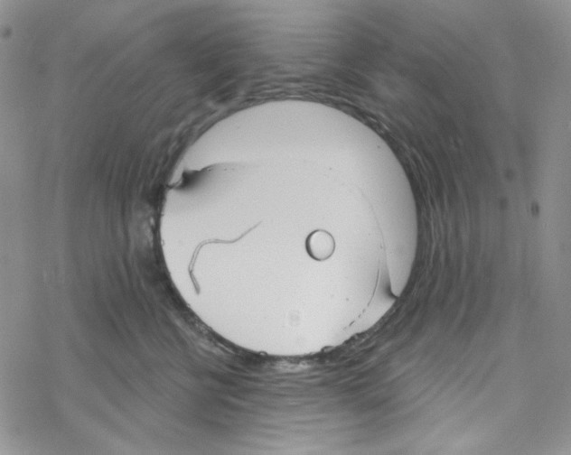 X0000069360570200606091604