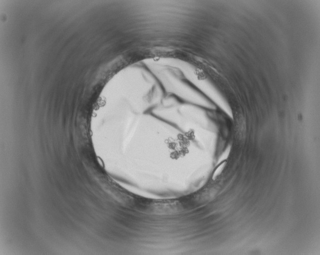 X0000069360571200606091604